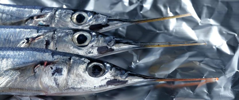 three little needle fish, uncooked macro studio shot