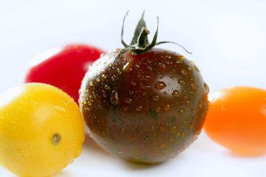 Little cherry varied multi color tomatoes, at studio, white background