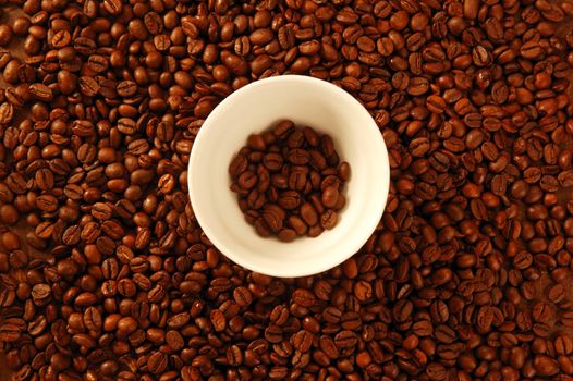 coffee golden brown seeds texture, around white cup