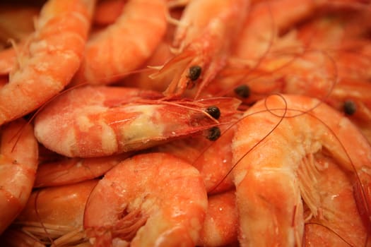 Shrimp macro texture, many orange prawns crop detail