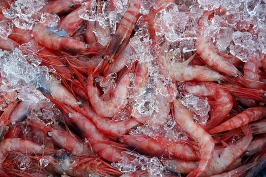 Orange shrimp, prawn, over ice surface, crustacean texture