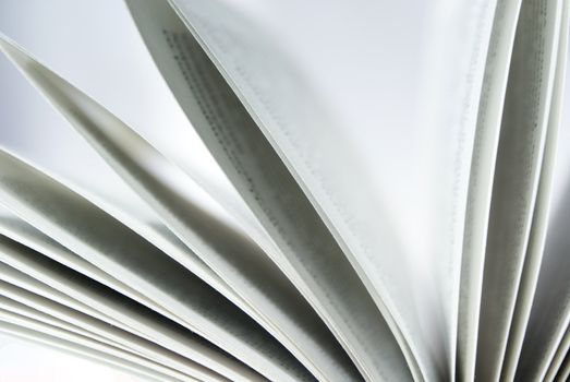 closeup of book pages on a white background