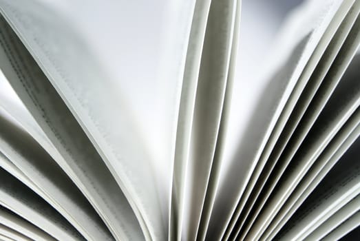 book pages closeup on a white background