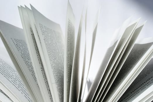 closeup of book pages on a white background