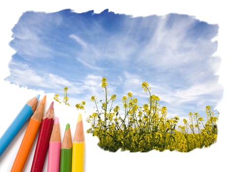 Color pencil drawing of a yellow field with blue open sky