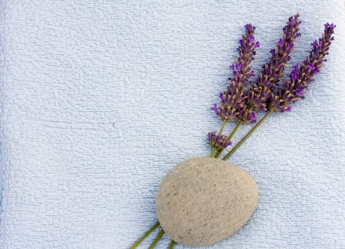 Calm spa concept with towel and lavender for relaxation properties