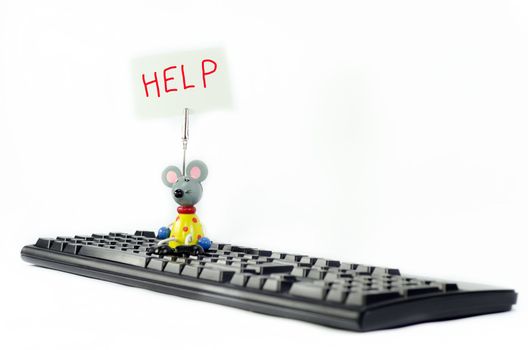 a mouse asks for help