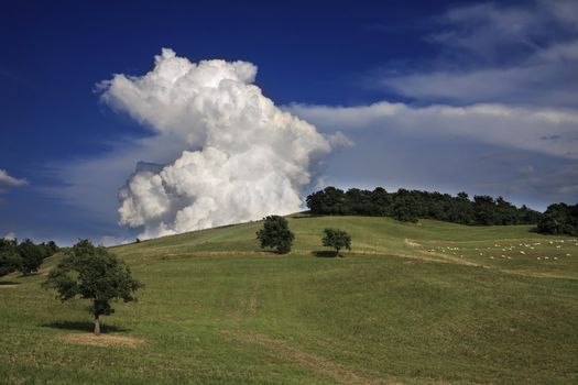 ITALY, tuscany, countryside near Pitigliano