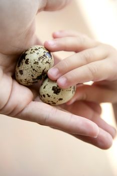 Quail eggs on mother hand, children holding one, education metaphor
