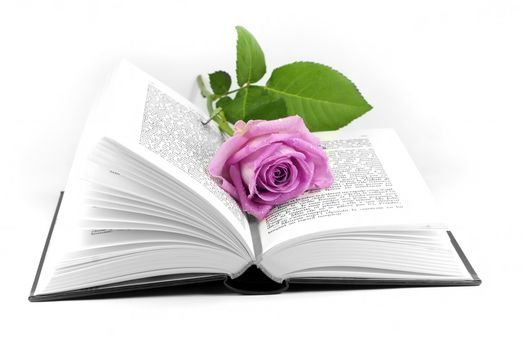 a rose placed in an open book