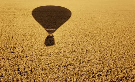 the shadow of a ot air balloon in the field