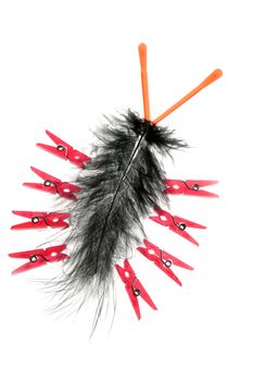 artistic funny bug made of clothes pin and feather isolated