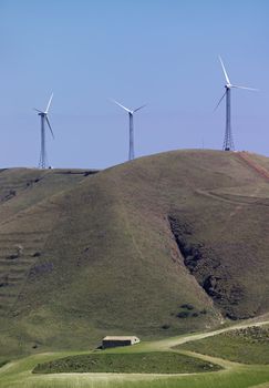 ITALY, Sicily, Francofonte/Catania province, countryside, Eolic energy turbines