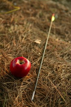 William tell metaphor with red apple and arrow in the forest