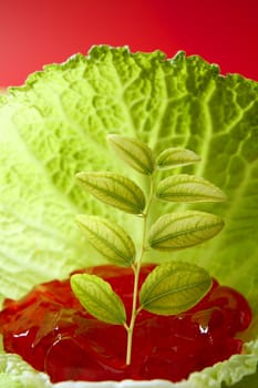 Abstract metaphor of green outbreak growing in cabbage leaf on red jelly