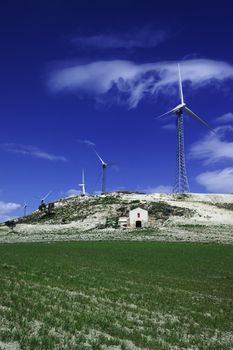 ITALY, Sicily, Francofonte/Catania province, countryside, Eolic energy turbines