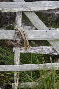 An old hand made whittle gate tied to the end of another with twine or rope. Set against a stone wall with green grass growing around.