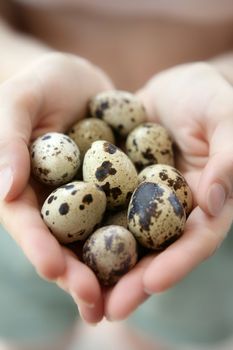 Woman hands holding fragile quail eggs, newborn care metaphor