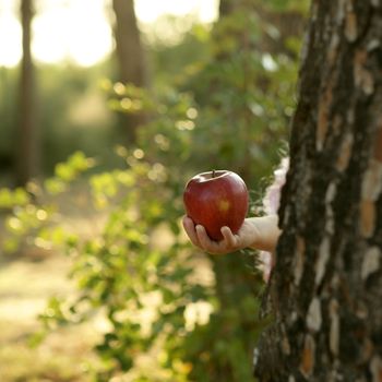 Fantasy girl holding a red apple in the forest, Robbin hood metaphor
