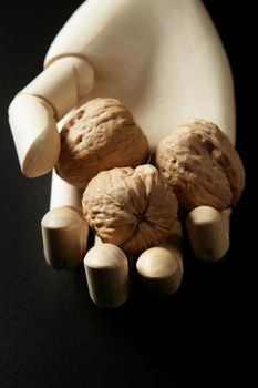 Mannequin wooden hand holding three walnuts in open hand