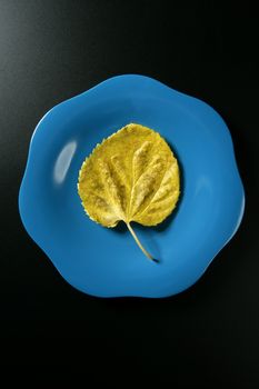 Metaphor, healthy diet low calories vegetarian meal in a dish, a simple leaf