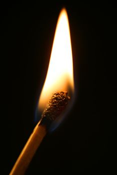 One macro match in flame over black background