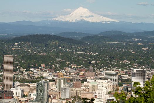 Portland Oregon Downtown Cityscape with Mount Hood