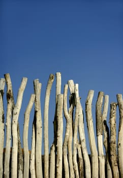 Wooden wall made of natural round striped wood trunks, blue summer sky