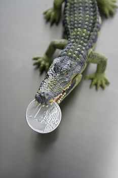Toy plastic cocodrile, aligator with euro money in its sharped theet jaws metaphor