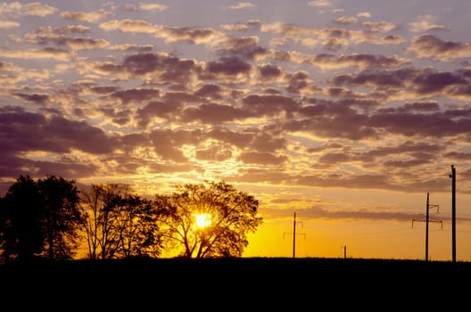 Sun hiding over the trees. Electric wires and poles in sunrise view.