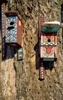 Two intresting painted nesting boxes for birds hanging on old tree.