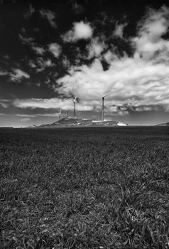 ITALY, Sicily, Francofonte/Catania province, countryside, Eolic energy turbines