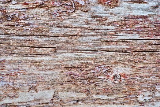 texture of the old spoiled wood damaged by woodworm