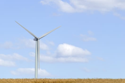 a wind turbine in a cultivated field