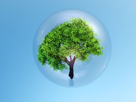 3 d illustration,a tree in  bubble