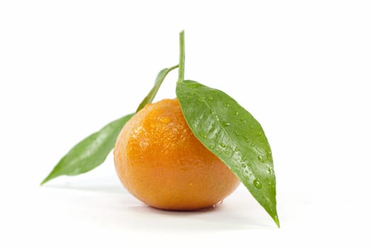 an isolated orange on white background