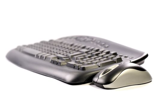 a wireless keyboard and a wireless mouse