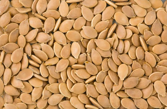 Macro shot of a group of pumpkin seeds.