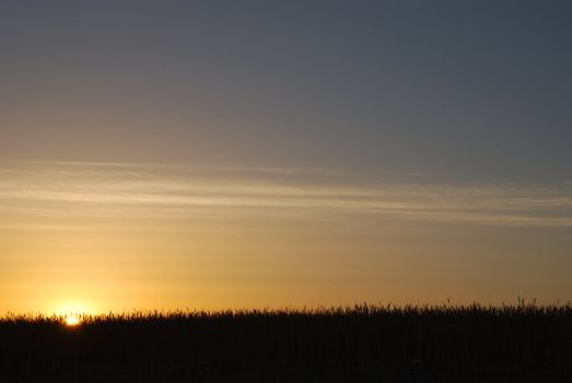 Beautiful yellow sunset on grassy field