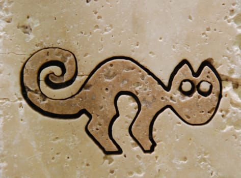 Image of the cat on stone