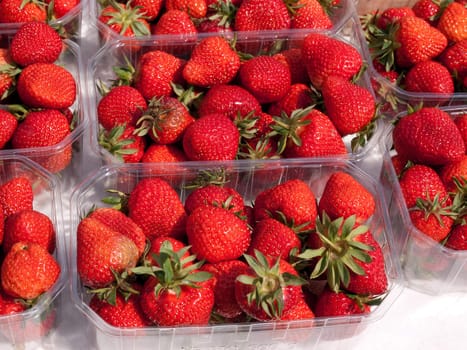 Fresh strawberries for sale on a supermarket shelf