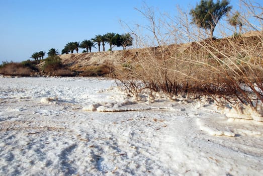 Salt on coast of Dead Sea, Israel