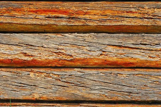 texture of the old spoiled wood damaged by woodworm