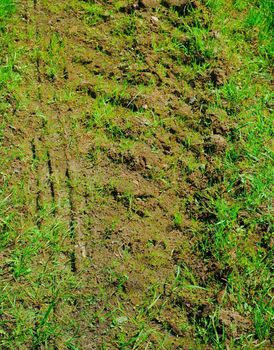 tracks of motor-car wheels on a fresh grass and clay