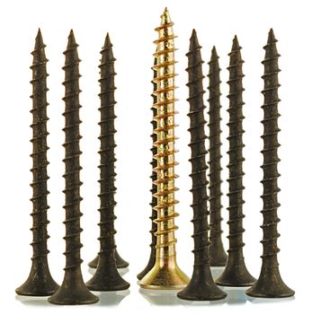 group of black screws and one brass angled screw