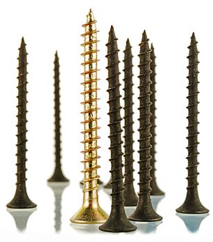 group of black screws and one brass angled screw