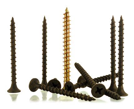 group of black screws and one brass angled screw