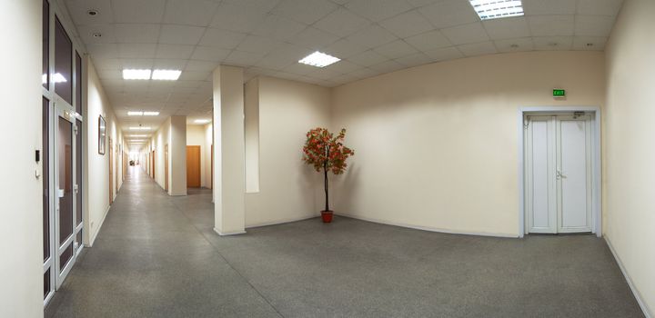 Panoramic shot of the hallwaw and corridor of the office building. Small maple tree. Emergency exit