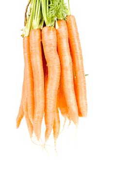 Bunch of carrot isolated on white
