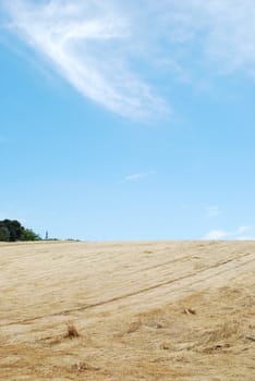 photo of a beautiful wheat field after harvest